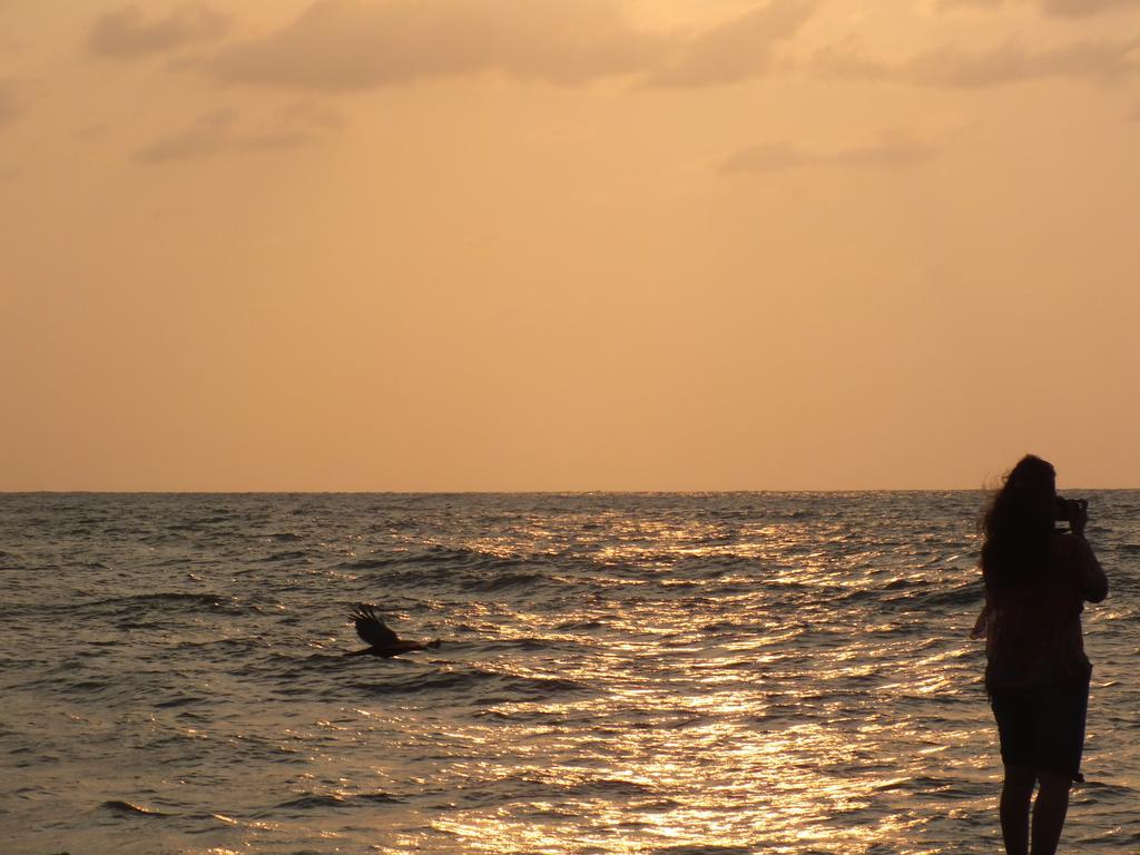 Thoms Beach Homestay Alappuzha Bagian luar foto